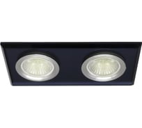 Встраиваемый двойной светильник truEnergy 2хGU5.3 180x90H25 IP20 черный/стекло 21231