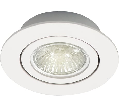 Встраиваемый поворотный светильник truEnergy gu5.3 d85xh25 ip20 белый/алюминий 21220
