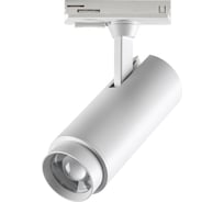 Однофазный двухжильный трековый светильник с переключателем NOVOTECH цветовой температуры и мощности 359026