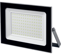 Светодиодный прожектор Stayer LED-Max 100 Вт 57131-100_z01