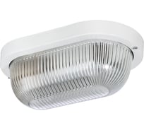 Светильник TDM ELECTRIC НПП 03-60-1401 (металл, стекло прозр.) IP65 SQ0311-0024