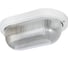 Светильник TDM ELECTRIC НПП 03-60-1401 (металл, стекло прозр.) IP65 SQ0311-0024 1