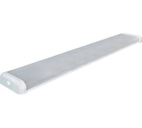 Светильник TDM ELECTRIC ЛПО 01-2x58-009 ЭПРА SQ0327-0609