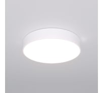 Потолочный светильник Eurosvet 90319/1 белый a063077