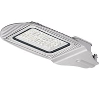 Уличный светильник Wolta PRO ТРАССА Прозрачный 1-10V ДКУ04-100-112-5К ШО140х60 ДКУ04-100-112-5К ШБ140х60