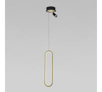 Подвесной светильник Eurosvet 90269/1 черный/золото a060633