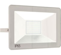 Светодиодный прожектор Uniel ULF-F15-50W/DW IP65 185-240В SILVER UL-00001851