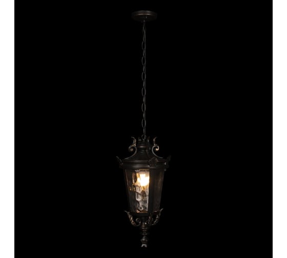 Уличный подвесной светильник LOFT IT Verona 100003P