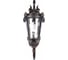 Уличный настенный светильник LOFT IT Verona 100003W 6