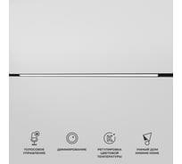 Умный трековый светильник Elektrostandard Slim magnetic 30w 2700-6500k dim l03 85080/01 чёрный a063541