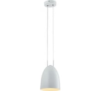 Подвес POWERLIGHT LIBERA 1xЕ27x60W белый 1-017010
