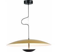 Подвесной светильник ST Luce ARMONICO SL6502.213.01