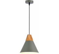 Подвесной светильник Evoluce MODICA SLE125113-01
