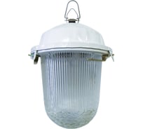 Светильник TDM ELECTRIC НСП 02-100-001.01 У2 SQ0310-0009