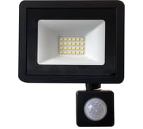 Светодиодный прожектор с встроенным датчиком 2835SMD 30W 6400K AC220V/50Hz IP65, черный в компактном корпусе SAFFIT SFL80-30 29523