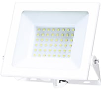 Светодиодный прожектор FERON LL-921 2835 SMD, 50W, 6400K, IP65, белый, с матовым стеклом 29498 15643618