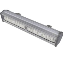 Светодиодный светильник Луч ANTARES 100 CW O IP65 ABR2 VS 1052600