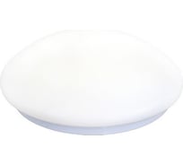 Светильник LED 24 Вт, 4500K Camelion LBS-0103 12675
