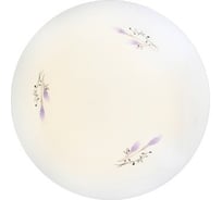 Светильник LED 18 Вт, 4500K Camelion LBS-0302 12679