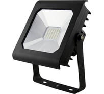 Светодиодный прожектор ЭРА LPR-30-6500К-М SMD PRO Б0028656