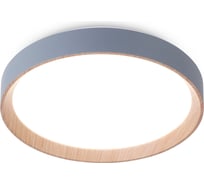 Потолочный светодиодный светильник Ambrella Light с пультом ORBITAL FZ1320