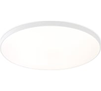 Потолочный светодиодный светильник Ambrella Light ORBITAL FZ1223