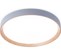 Потолочный светодиодный светильник Ambrella Light с пультом ORBITAL FZ1322