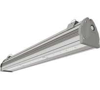 Светодиодный светильник Луч ANTARES 50 CW T IP65 VS 1052613