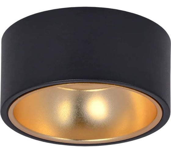 Накладной потолочный светильник IEK Lighting 4017 под лампу gx53 черный/золото LT-UPB0-4017-GX53-1-K57