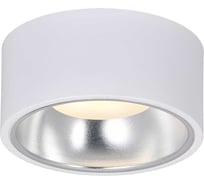 Накладной потолочный светильник IEK Lighting 4017 под лампу gx53 белый/хром LT-UPB0-4017-GX53-1-K54