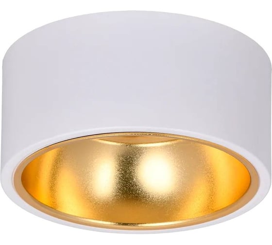 Накладной потолочный светильник IEK Lighting 4017 под лампу gx53 белый/золото LT-UPB0-4017-GX53-1-K55