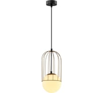 Подвесной потолочный светильник (подвес) Rivoli Bethany 4107201 1 Е14, 40 Вт, дизайн шар Б0057923