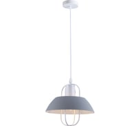 Подвесной потолочный светильник (подвес) Rivoli Mia 5135201 1 х Е27 40 Вт лофт кантри дубликат Б0060521