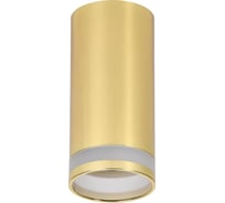 Накладной потолочный светильник IEK Lighting 4005 под лампу gu10 золото LT-UPB0-4005-GU10-1-K22