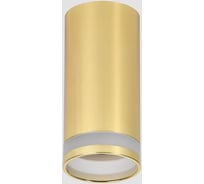 Накладной потолочный светильник IEK Lighting 4005 под лампу gu10 золото LT-UPB0-4005-GU10-1-K22
