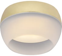 Накладной потолочный светильник IEK Lighting 4010 под лампу gx53 золото LT-UPB0-4010-GX53-1-K22