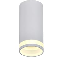 Накладной потолочный светильник IEK Lighting 4005 под лампу gu10 белый LT-UPB0-4005-GU10-1-K01