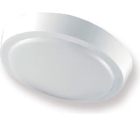 Светодиодный настенно-потолочный светильник Фарлайт накладной спо profi 15 вт 4000к ф216 ip44 круг FAR002239