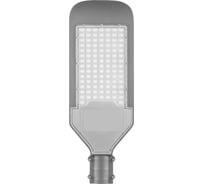 Уличный светодиодный светильник Feron SP2921 30LED*30W AC230V/ 50Hz серый IP65 32213