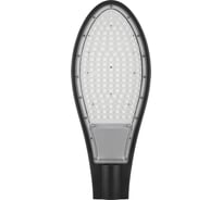 Уличный светодиодный светильник FERON 30LED 30W AC230V/ 50Hz цвет черный IP65, SP2925 32217