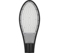 Уличный светодиодный светильник FERON 50LED 50W AC230V/ 50Hz цвет черный IP65, SP2926 32218