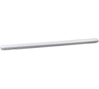 Светодиодный светильник ЭРА SPP-2-48-6K-M IP65 1500х76х66 48Вт 4200Лм 6500К матовый 12/120 Б0027873