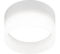 Настенно-потолочный светильник ЭРА спот OL30 WH GX53, белый Б0056359