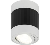 Настенно-потолочный светильник ЭРА спот OL34 WH/BK MR16, GU10, черный, белый Б0056383