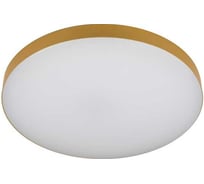 Светодиодный потолочный светильник ЭРА Relict 48 Pult SPB660RC MG с ДУ 60Вт 3000-6500К, Золото Б0059498