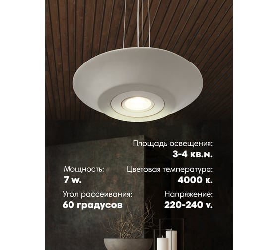 Подвесной светильник Мелодия Света BL107-1P-230 GR 000040156