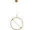 Подвесной светильник ARTE LAMP dolores A2565SP-1PB 1