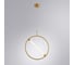 Подвесной светильник ARTE LAMP dolores A2565SP-1PB 2