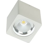 Светодиодный светильник FIBERLI CH-SD220-1, 12120101