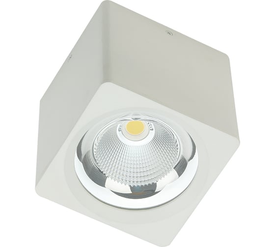 Светодиодный светильник FIBERLI CH-SD220-1, 12120101 1